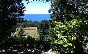 Spacieux Appartement Jardin, Bbq, Vue Sur Mer, Trouville